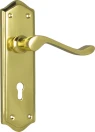 Henley Lever - Long Backplate - Lever Pair - PB