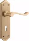 Henley Lever - Long Backplate - Lever Pair - SB